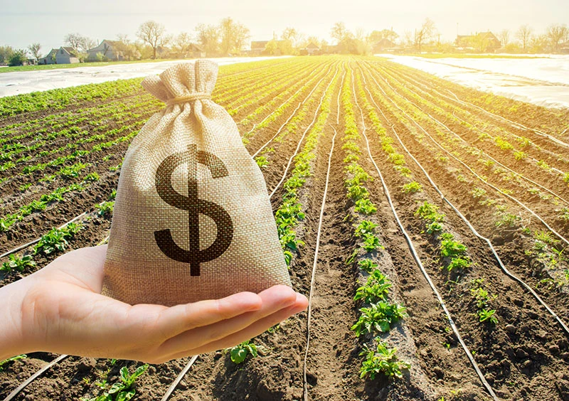 Thumbnail do Post: Contratou crédito rural? Você tem direito a receber a restituição da diferença de correção monetária
